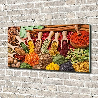 Acrylic print Colorful spices