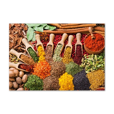 Acrylic print Colorful spices