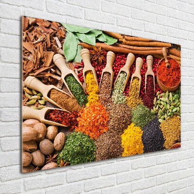 Acrylic print Colorful spices