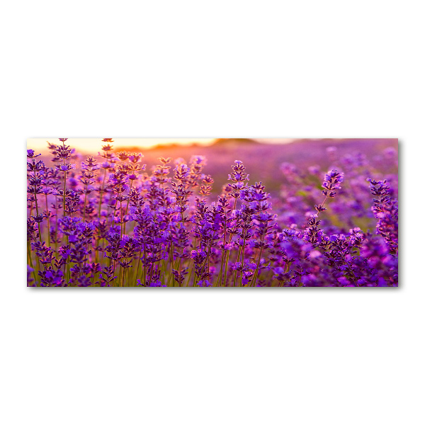 Glass acrylic wall art Lavender field