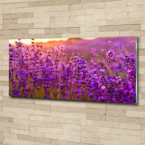 Glass acrylic wall art Lavender field