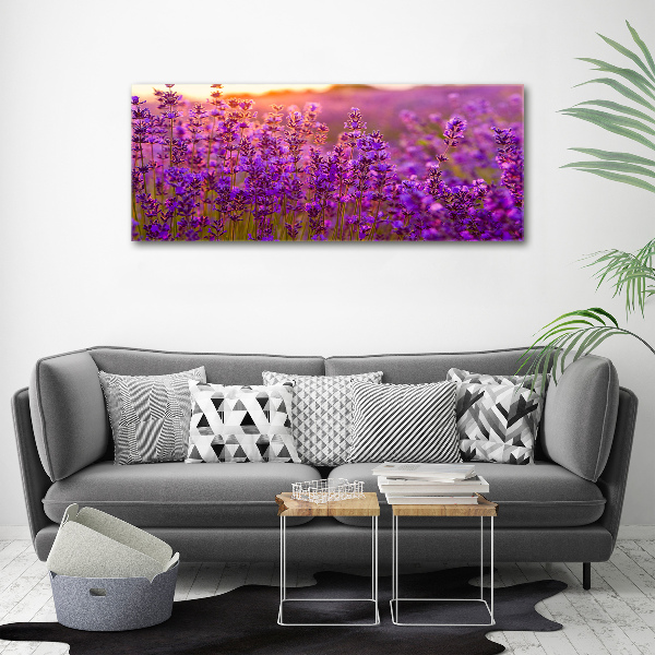 Glass acrylic wall art Lavender field