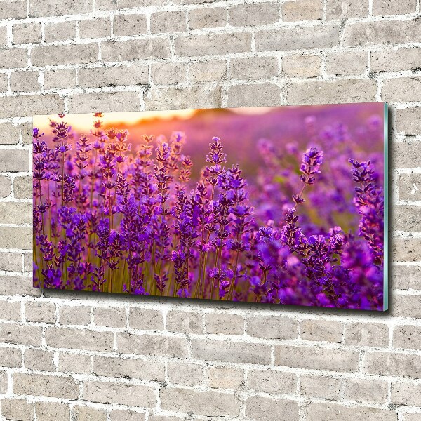 Glass acrylic wall art Lavender field