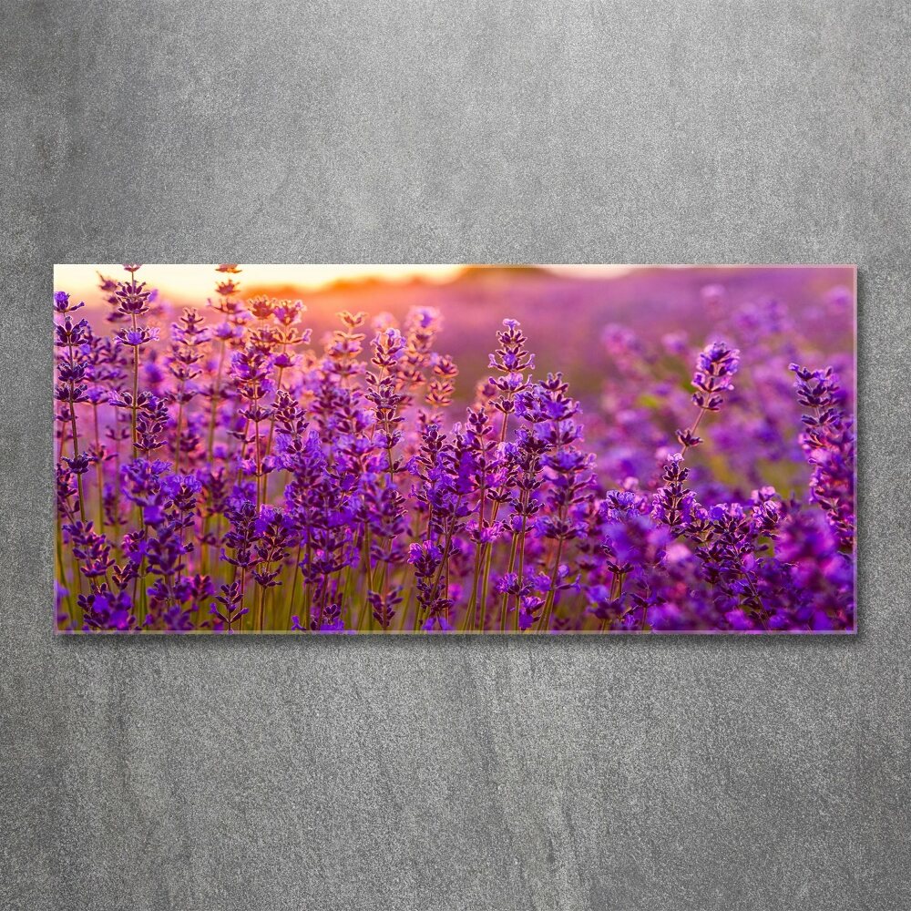 Glass acrylic wall art Lavender field