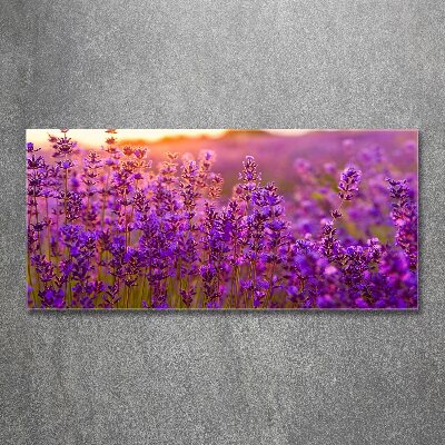 Glass acrylic wall art Lavender field