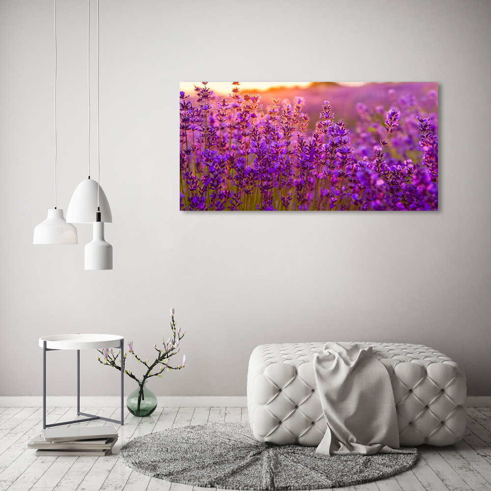 Glass acrylic wall art Lavender field