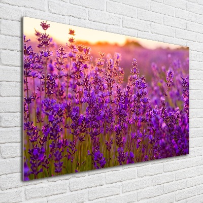 Glass acrylic wall art Lavender field