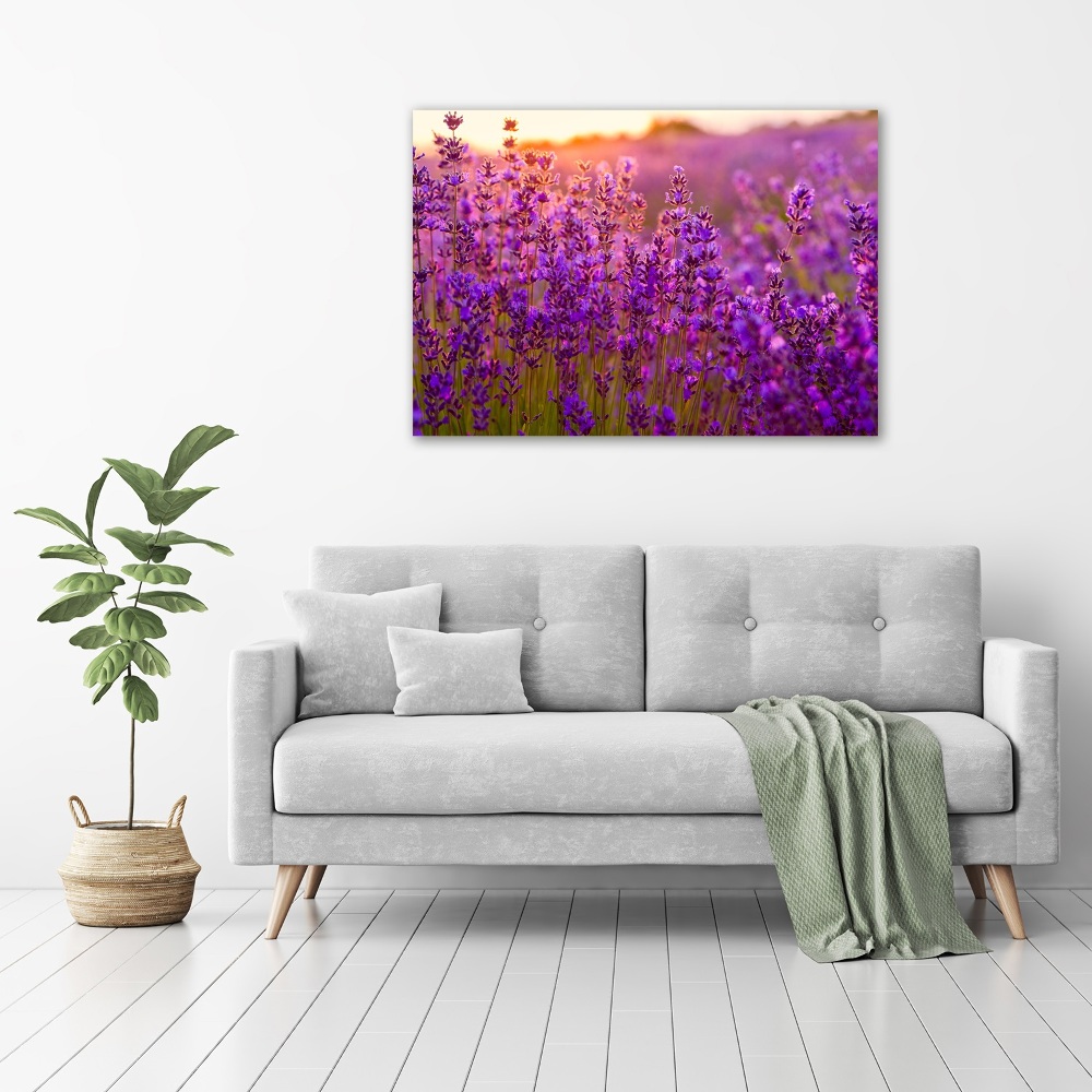 Glass acrylic wall art Lavender field