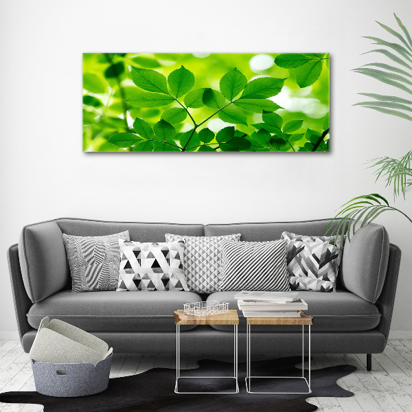 Glass acrylic wall art Green leaves