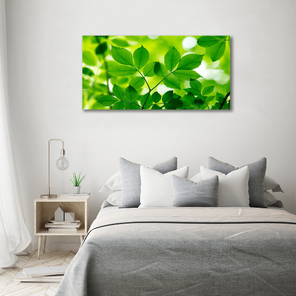 Glass acrylic wall art Green leaves