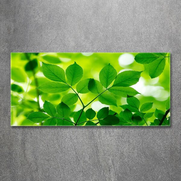 Glass acrylic wall art Green leaves