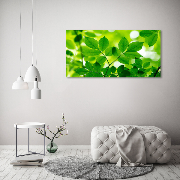 Glass acrylic wall art Green leaves