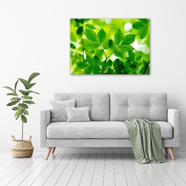 Glass acrylic wall art Green leaves