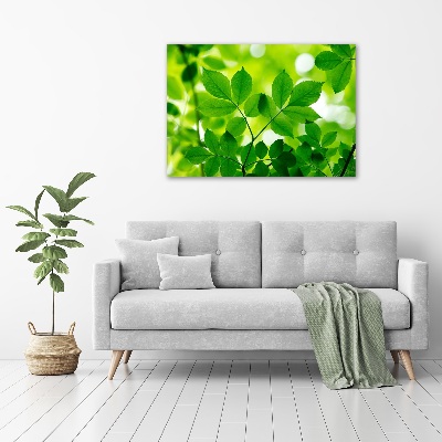 Glass acrylic wall art Green leaves