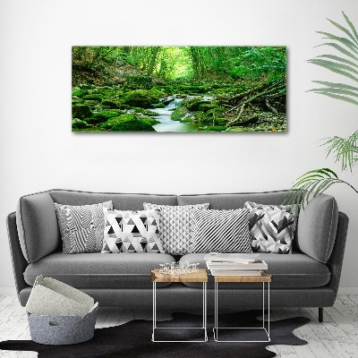 Print on acrylic Stream in the forest