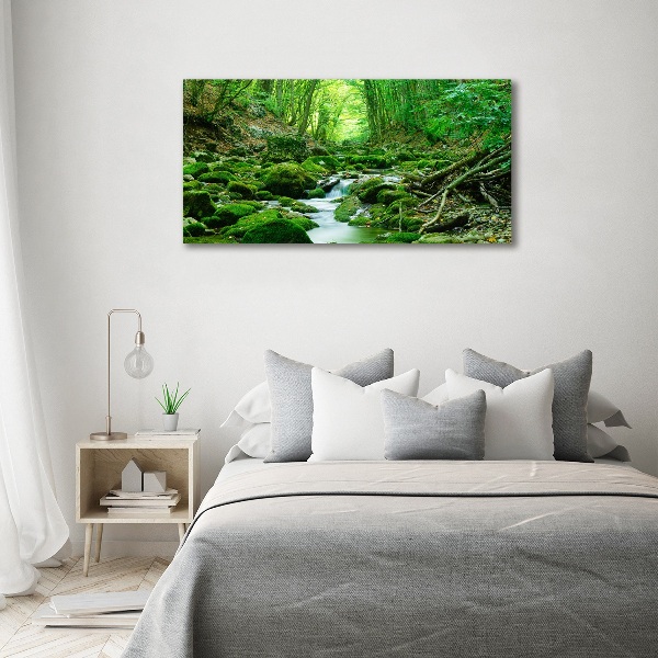 Print on acrylic Stream in the forest