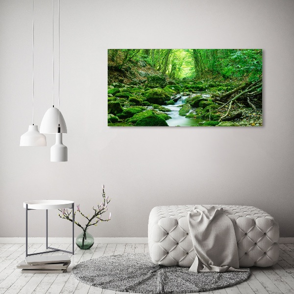 Print on acrylic Stream in the forest