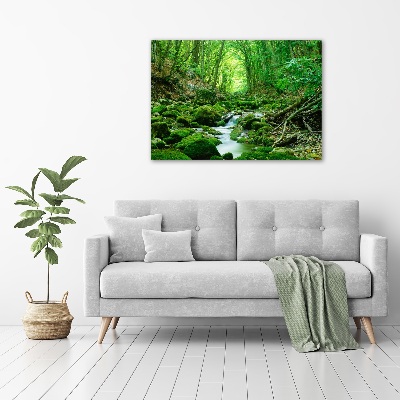 Print on acrylic Stream in the forest