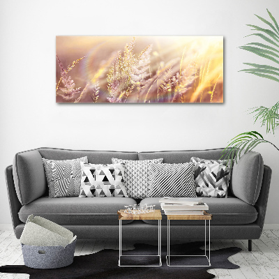 Acrylic wall picture Tall grass