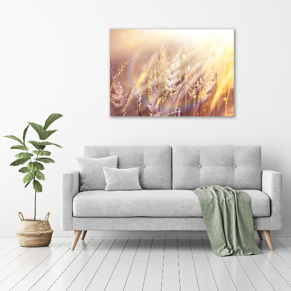 Acrylic wall picture Tall grass