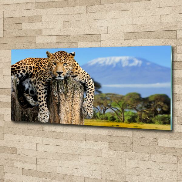 Wall art acrylic Leopard on the trunk