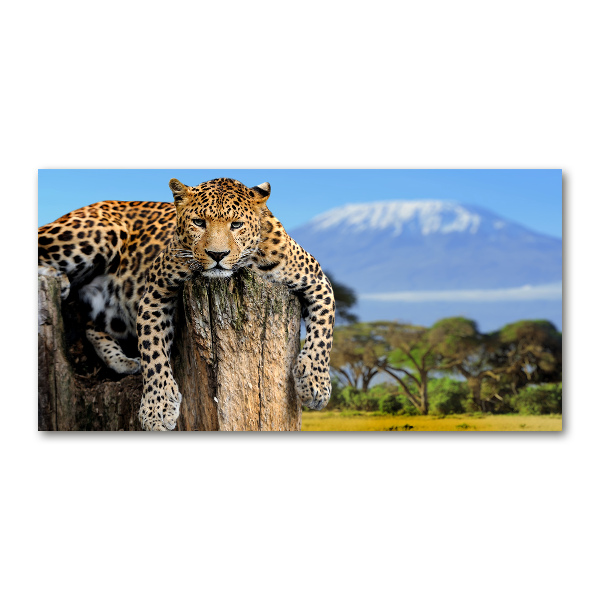 Wall art acrylic Leopard on the trunk