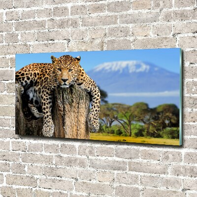 Wall art acrylic Leopard on the trunk