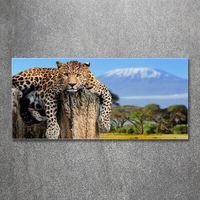 Wall art acrylic Leopard on the trunk