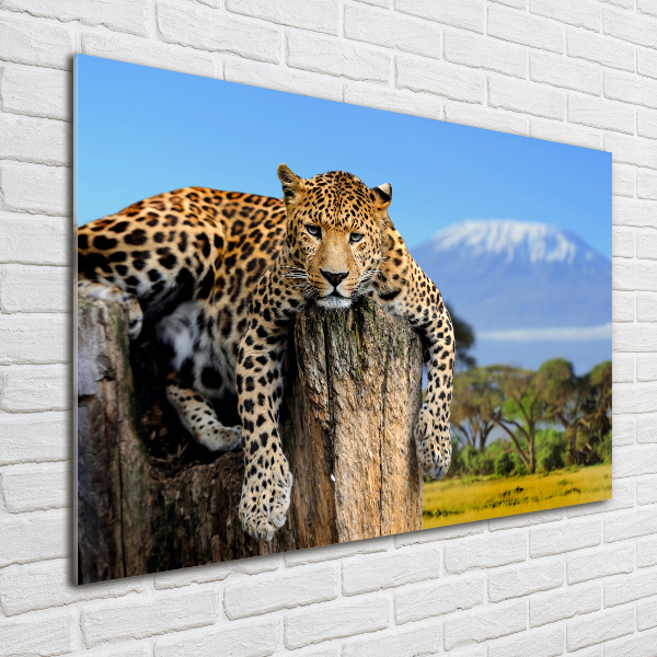 Wall art acrylic Leopard on the trunk