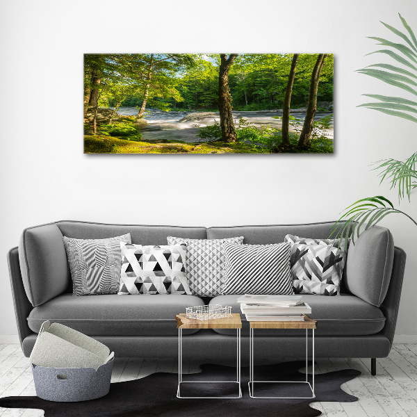 Print on acrylic River in the forest