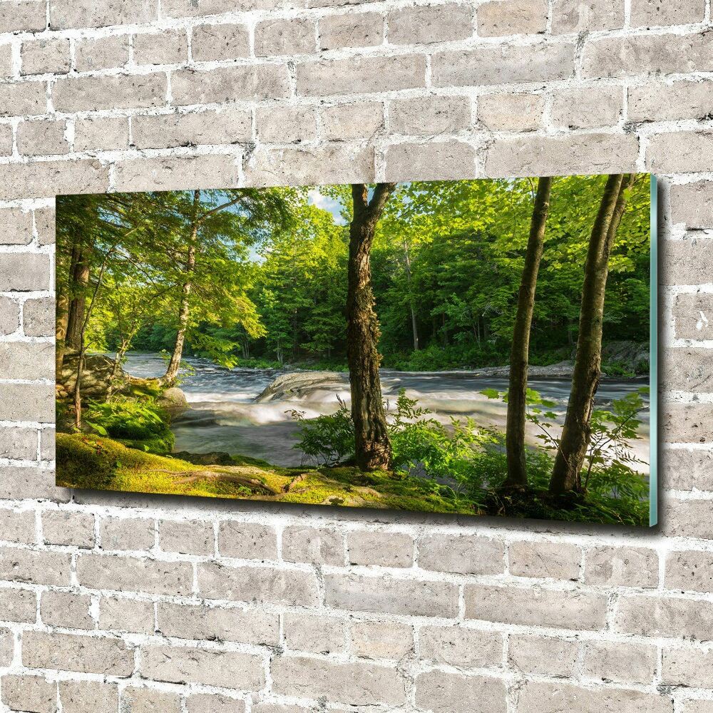 Print on acrylic River in the forest