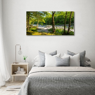 Print on acrylic River in the forest