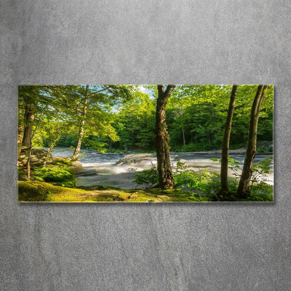 Print on acrylic River in the forest