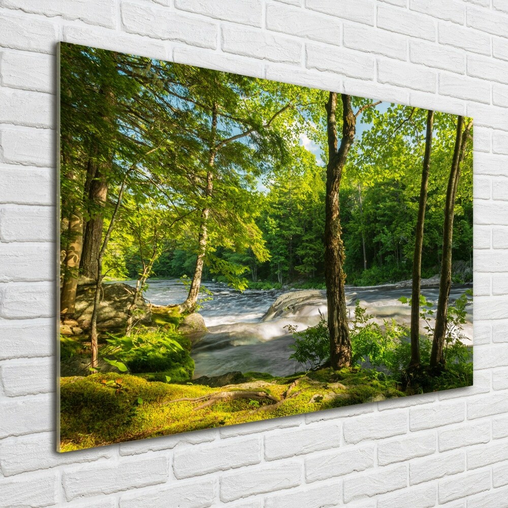 Print on acrylic River in the forest