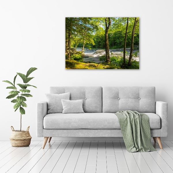 Print on acrylic River in the forest