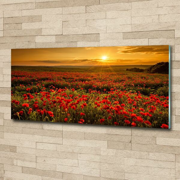 Wall art acrylic Mak field