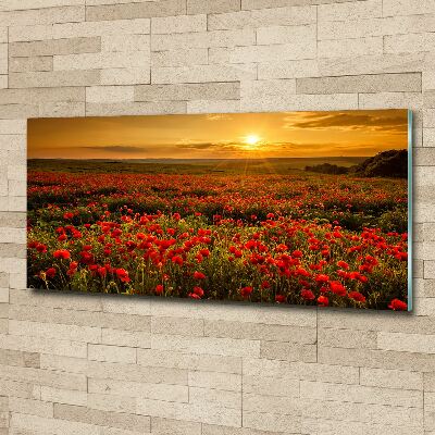 Wall art acrylic Mak field