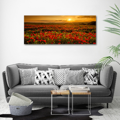 Wall art acrylic Mak field