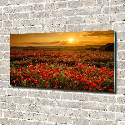 Wall art acrylic Mak field