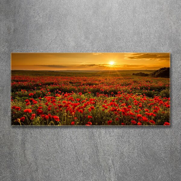 Wall art acrylic Mak field