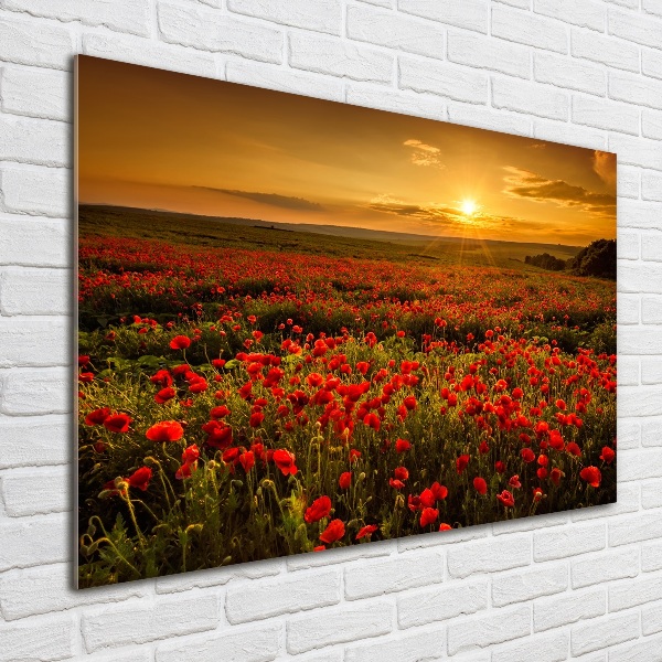 Wall art acrylic Mak field