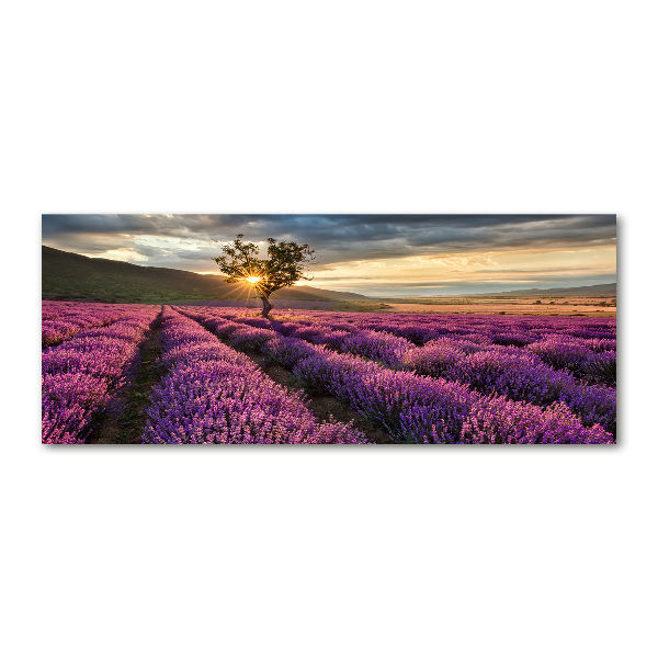 Wall art acrylic Lavender field