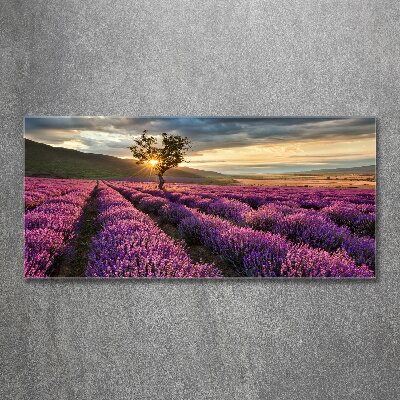 Wall art acrylic Lavender field