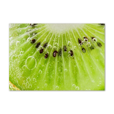 Acrylic wall art Kiwi