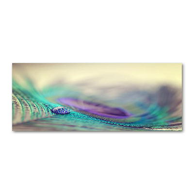 Glass acrylic wall art Drop on the feather