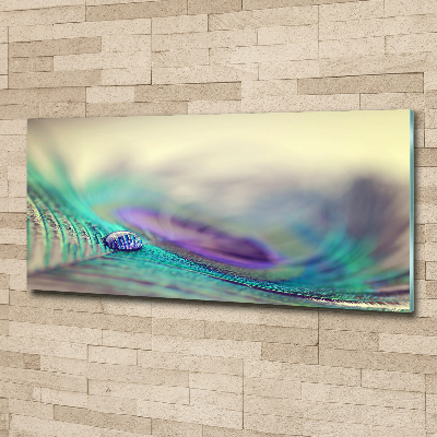 Glass acrylic wall art Drop on the feather