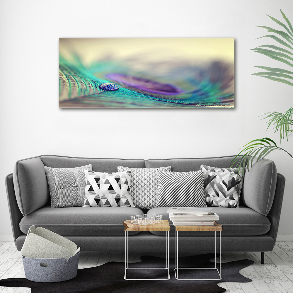 Glass acrylic wall art Drop on the feather