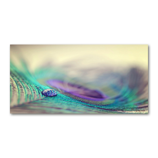 Glass acrylic wall art Drop on the feather