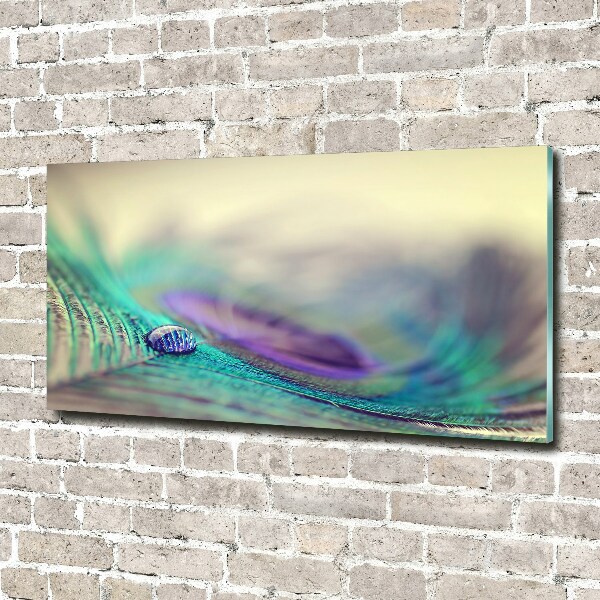 Glass acrylic wall art Drop on the feather