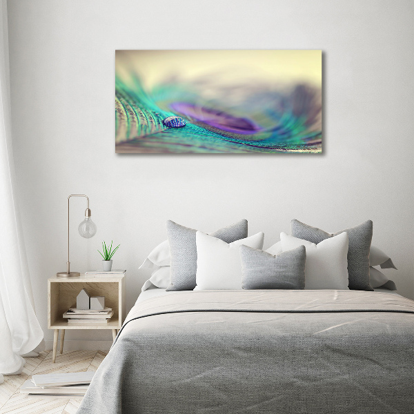 Glass acrylic wall art Drop on the feather